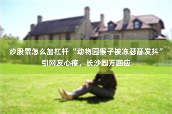 炒股票怎么加杠杆 “动物园猴子被冻瑟瑟发抖”引网友心疼，长沙园方回应