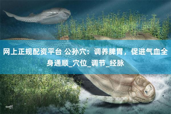 网上正规配资平台 公孙穴：调养脾胃，促进气血全身通顺_穴位_调节_经脉