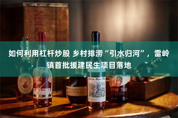 如何利用杠杆炒股 乡村排涝“引水归河”，雷岭镇首批援建民生项目落地
