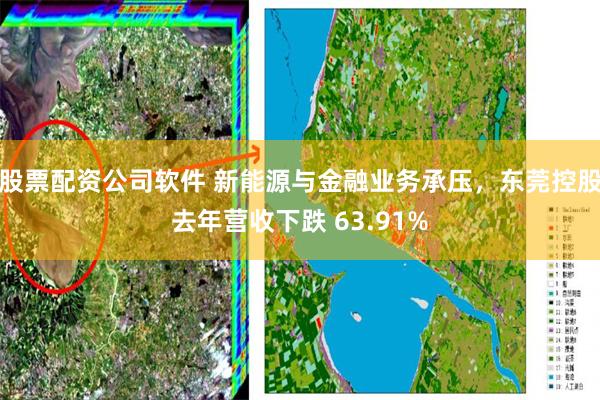 股票配资公司软件 新能源与金融业务承压，东莞控股去年营收下跌 63.91%