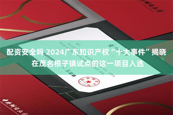 配资安全吗 2024广东知识产权“十大事件”揭晓 在茂名根子镇试点的这一项目入选
