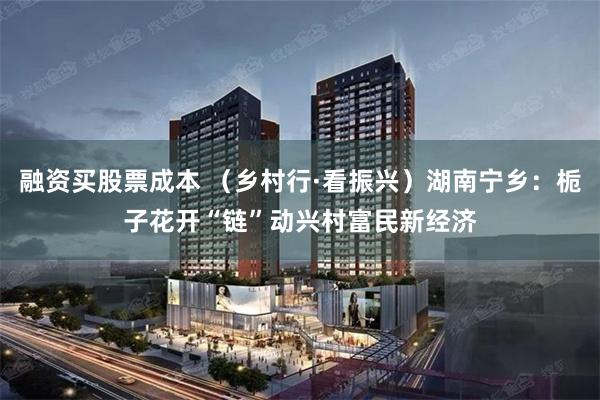 融资买股票成本 （乡村行·看振兴）湖南宁乡：栀子花开“链”动兴村富民新经济