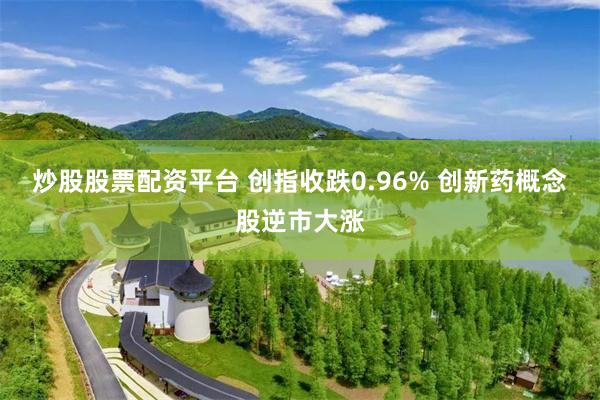 炒股股票配资平台 创指收跌0.96% 创新药概念股逆市大涨