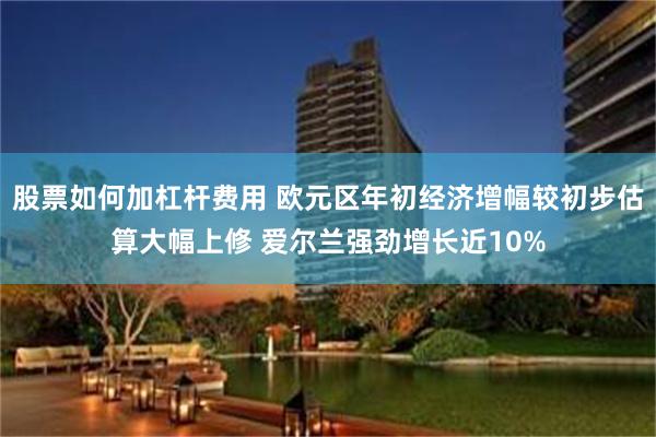 股票如何加杠杆费用 欧元区年初经济增幅较初步估算大幅上修 爱尔兰强劲增长近10%