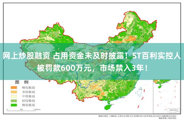 网上炒股融资 占用资金未及时披露！ST百利实控人被罚款600万元，市场禁入3年！