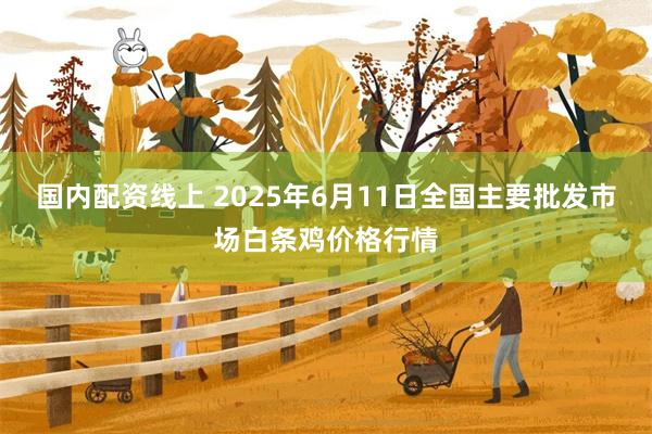 国内配资线上 2025年6月11日全国主要批发市场白条鸡价格行情