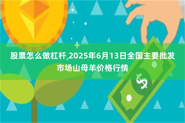 股票怎么做杠杆 2025年6月13日全国主要批发市场山母羊价格行情