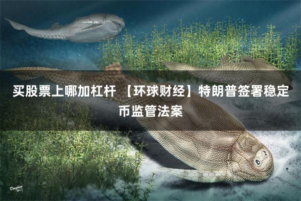 买股票上哪加杠杆 【环球财经】特朗普签署稳定币监管法案